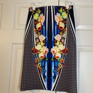 Clover Canyon Skirt (Small)